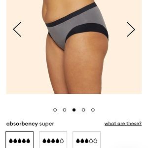 Thinx Super Modal Briefs- 2 Pairs